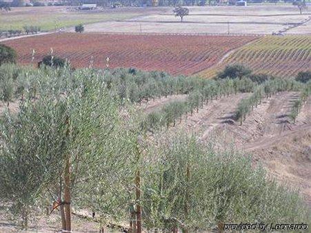 Alta Cresta Orchard & Inn Paso Robles Kemudahan gambar
