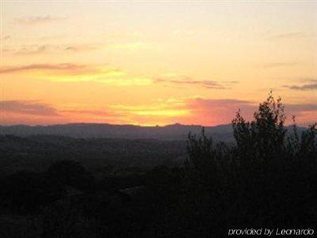 Alta Cresta Orchard & Inn Paso Robles Luaran gambar